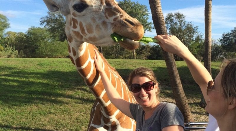 safari busch gardens