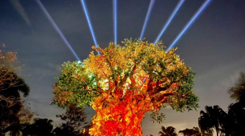 Disney retorna com seu primeiro show noturno