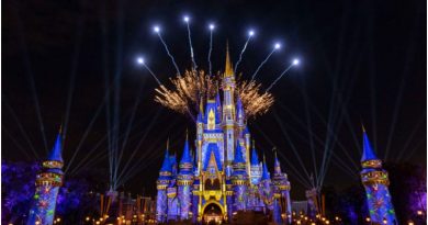 disney retorno fogos 2