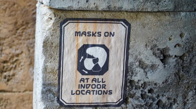 regras-pandemia-disney-05