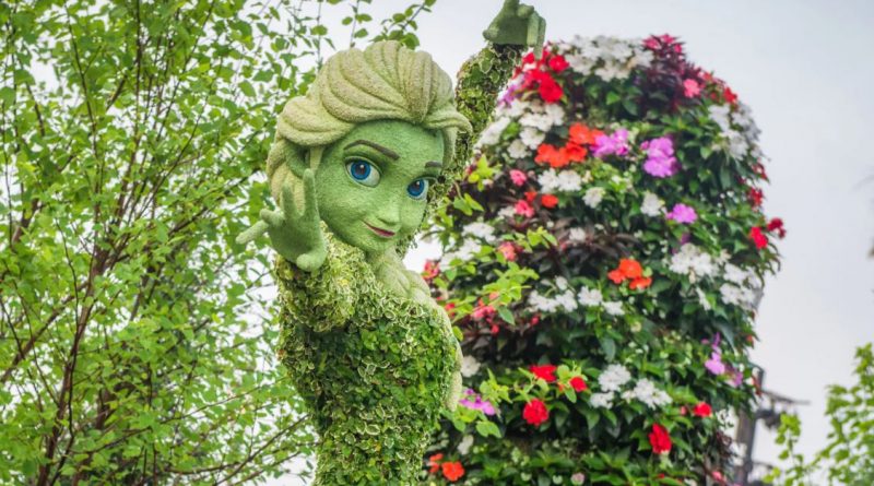 flower-and-garden-2022-01