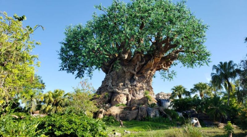 roteiro animal kingdom