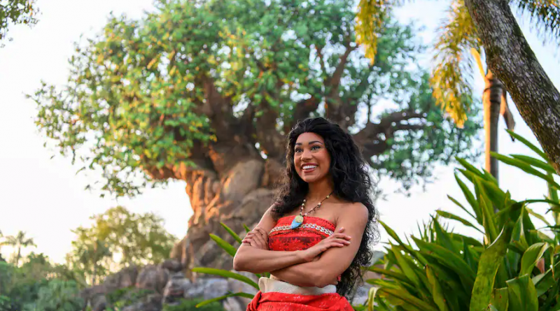 encontro personagens disney moana