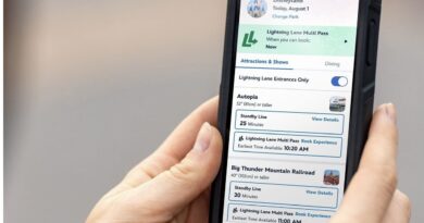 Fila Expressa Disney