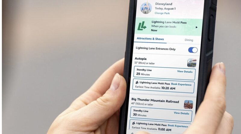 Fila Expressa Disney