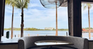 restaurante vista fogos disney