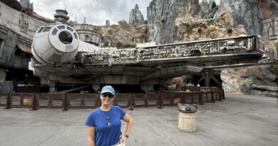 guiamento virtua disney