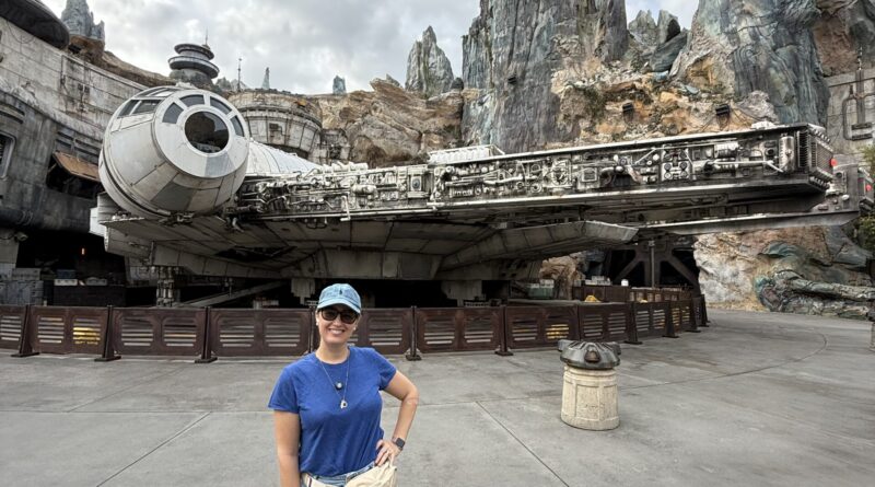 guiamento virtua disney