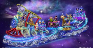 parada noturna magic kingdom