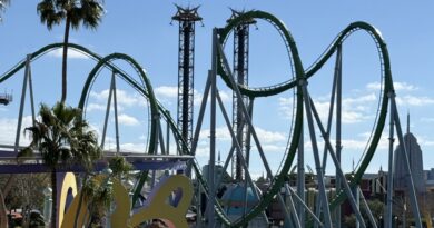 ATRACOES EM REFORMA DISNEY