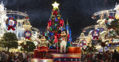 Mickey-and-Minnie-at-the-MVMCP-Parade-2048x1365