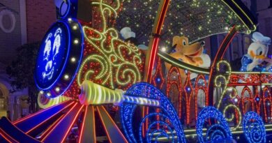 parada notuna magic kingdom