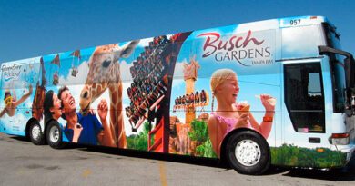 transporte busch gardens