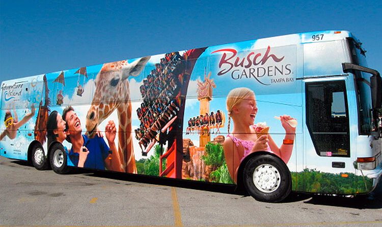 transporte busch gardens