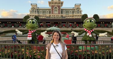 Natal na Disney 2025 – Compras, decoração e programação diferente natal disney 2025