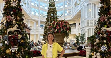 Decoração de Natal nos hotéis da Disney – Quais visitar? grand floridian resort natal